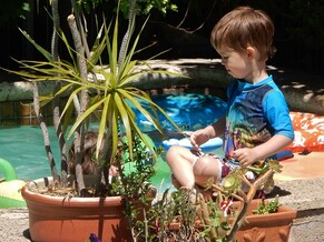 A child playing beside a sunny backyard pool